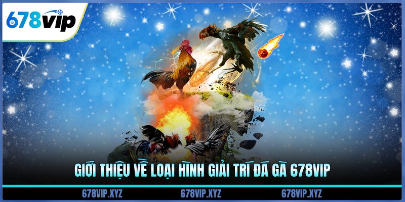 Giới thiệu về loại hình giải trí đá gà 678vip 